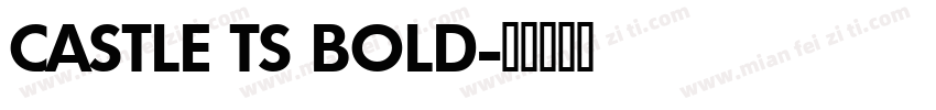 CASTLE TS BOLD字体转换